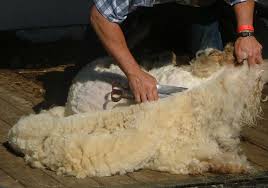 Lakabe imparte un curso sobre la lana